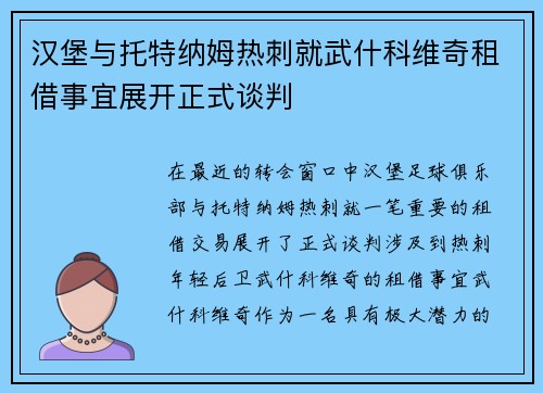 汉堡与托特纳姆热刺就武什科维奇租借事宜展开正式谈判